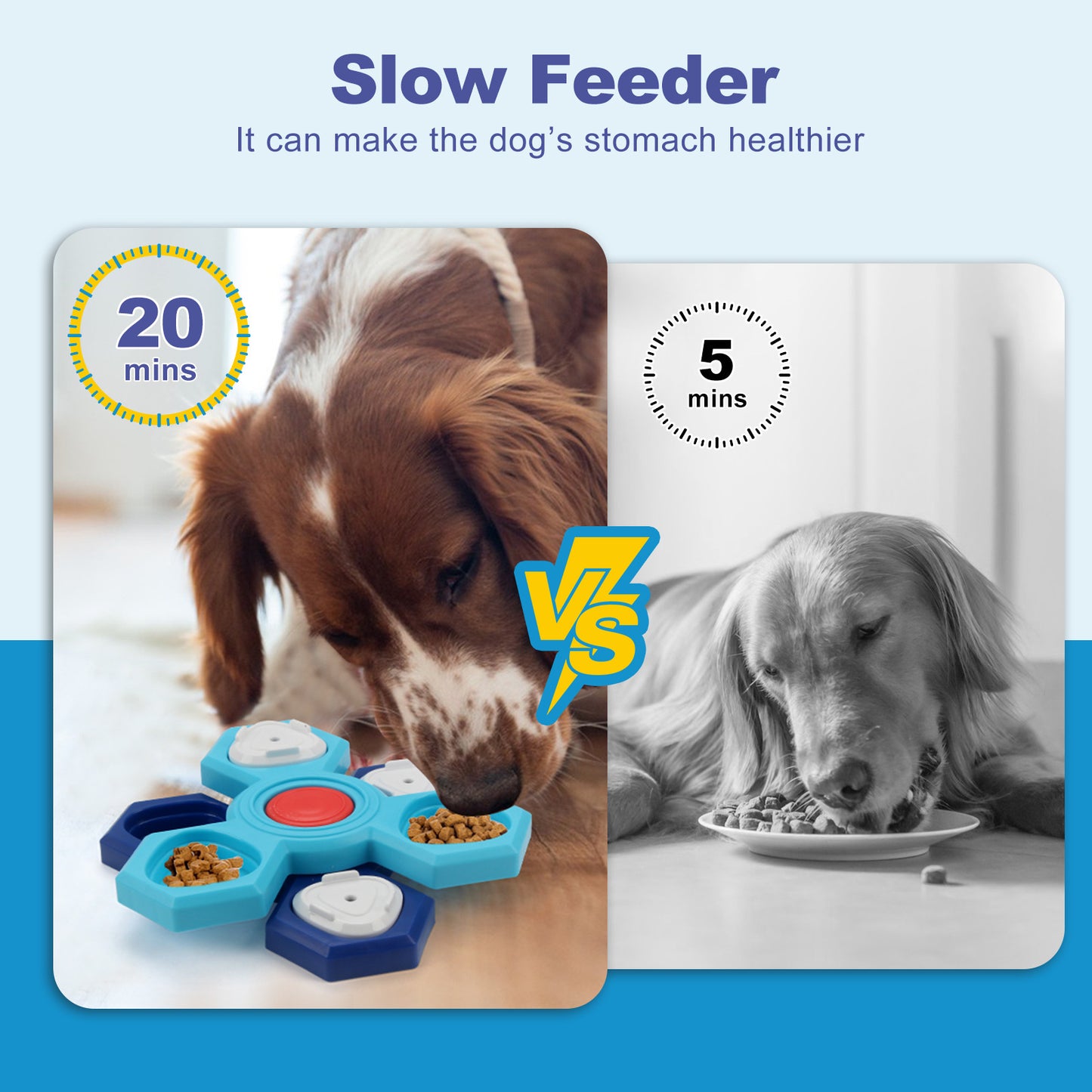 Slow Feeder Puzzle Dog Bowl - 4 Layers, Interactive, & Non-Slip