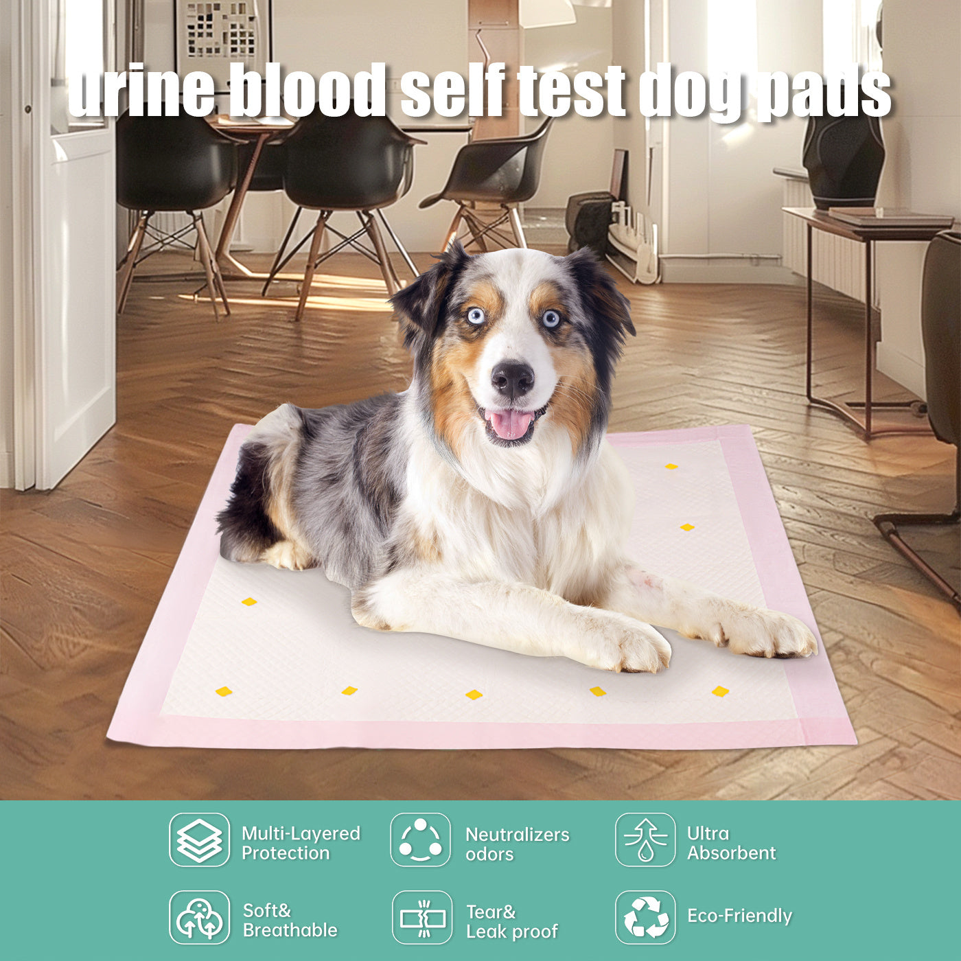 Dog Urine Detection Pads - Reliable and Easy to Use